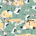 Seamless pattern with Japanese Cranes and Blossoms Royalty Free Stock Photo