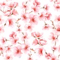 Seamless pattern with japanese sakura with pink flowers. Cherry-blossom background.