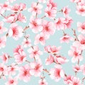 Seamless pattern with japanese sakura with pink flowers. Cherry-blossom background. Royalty Free Stock Photo