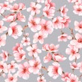 Seamless pattern with japanese sakura with pink flowers. Cherry-blossom background. Royalty Free Stock Photo