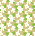 Seamless pattern of jasmine flowers