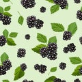 Seamless pattern with juicy blackberries. Vector illustration