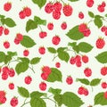 Seamless pattern with juicy raspberry. Vector illustration.