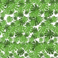 Seamless pattern of jungle leaves. Tropical summer foliage background. Rainforest botanical concept. Vector illustration Royalty Free Stock Photo