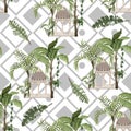 Seamless pattern with jungle trees and ancient arbor. Vector.