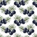 seamless pattern with Juniper berry