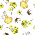 Seamless pattern of canola oil, flowers and seed. Hand drawn flowers watercolor sketches. For design