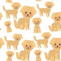 Seamless pattern Kawaii funny golden beige dog, face with large eyes and pink cheeks, boy and girl isolated on white background.