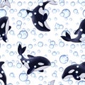 Seamless pattern of killer whales. Cartoon orcas