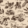 Seamless pattern of kitchen herbs and spices. Hand drawn sketch illustrations Royalty Free Stock Photo