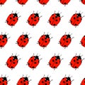 Seamless pattern from lady bugs. Doodle sketch. Colorful outline on white background. Vector illustration. Royalty Free Stock Photo