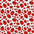 Seamless Pattern From Lady Bugs. Doodle Sketch. Colorful Outline On White Background. Vector Illustration.