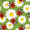 Seamless pattern with ladybirds Royalty Free Stock Photo