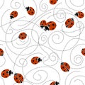 Seamless pattern with ladybirds. Royalty Free Stock Photo