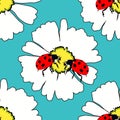 Seamless pattern is ladybug insect nature on daisy flower vector Royalty Free Stock Photo