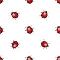 Seamless pattern with ladybug Royalty Free Stock Photo