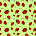 Seamless pattern of ladybugs and daisies salad Royalty Free Stock Photo