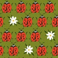 Colorful seamless pattern, ladybugs and flowers. Decorative cute background, funny insects, daisies Royalty Free Stock Photo