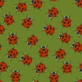Green seamless pattern with ladybugs. Vector illustration Royalty Free Stock Photo