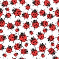 Seamless pattern with ladybugs Vector Royalty Free Stock Photo
