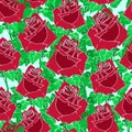 seamless pattern of large red rose buds with leaves on a light green background Royalty Free Stock Photo