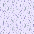 Seamless pattern with lavender