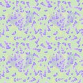Seamless pattern of lavender flowers; editable color background. Royalty Free Stock Photo