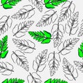 Seamless pattern leaf nature green line art pine seed