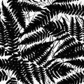 Seamless pattern with leafs tropical fern palm for fashion textile or web background. Black silhouette on white background. Vector Royalty Free Stock Photo