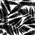 Seamless pattern with leafs tropical fern palm for fashion textile or web background. Black silhouette on white background. Vector Royalty Free Stock Photo