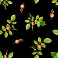 Seamless pattern with leaves and berries Royalty Free Stock Photo