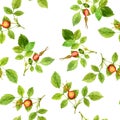 Seamless pattern with leaves and berries Royalty Free Stock Photo