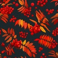 Seamless pattern of leaves, branches and fruits of a tree on a dark background. Creative collage with rowan leaves and fruits Royalty Free Stock Photo