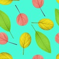 Seamless pattern of leaves of different colors