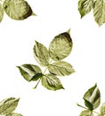 Seamless pattern leaves. Flat vector template. Royalty Free Stock Photo