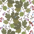 Seamless pattern with leaves and flowers of celandine, lungwort and butterflies. vector