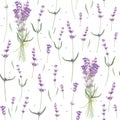 Seamless pattern with leaves and flowers of lavender, watercolor painting. Royalty Free Stock Photo