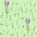 Seamless pattern with leaves and flowers of lavender, watercolor painting. Royalty Free Stock Photo