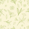 Seamless pattern with leaves and flowers of a tea plant