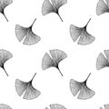 Seamless pattern with leaves. Ginkgo biloba leaves background.