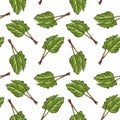 seamless pattern with leaves of rheum