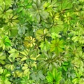 Seamless pattern, leaves, summer, green, heat, flora, wallpaper pattern, pattern for textiles, postcard, nobody, image, photo, des