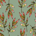 Seamless pattern of leaves. Tropical leaves. Print for fabric and other surfaces