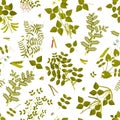 Seamless pattern with legumes plants and its leaves, pods and flowers