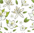 Seamless pattern with lemon flowers and leafs