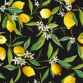 Seamless Pattern. Lemon Fruits Background. Floral Pattern Royalty Free Stock Photo