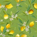 Seamless Pattern. Lemon Fruits Background. Floral Pattern Royalty Free Stock Photo