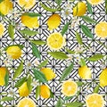 Seamless Pattern. Lemon Fruits Background. Floral Pattern Royalty Free Stock Photo