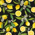 Seamless Pattern. Lemon Fruits Background. Floral Pattern Royalty Free Stock Photo