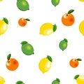 Seamless pattern with lemon, orange, lime. Fruit isolated on a white background Royalty Free Stock Photo